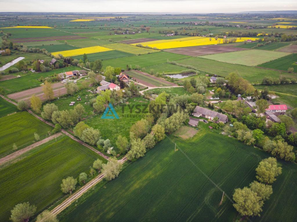 Działka 3200 m2 , 3 kilometry od Nowego Dworu - zdjęcie 6