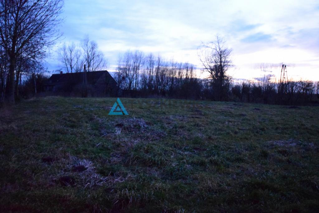 Działka 3200 m2 , 3 kilometry od Nowego Dworu - zdjęcie 29