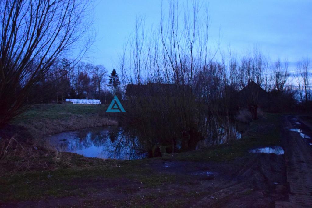 Działka 3200 m2 , 3 kilometry od Nowego Dworu - zdjęcie 14