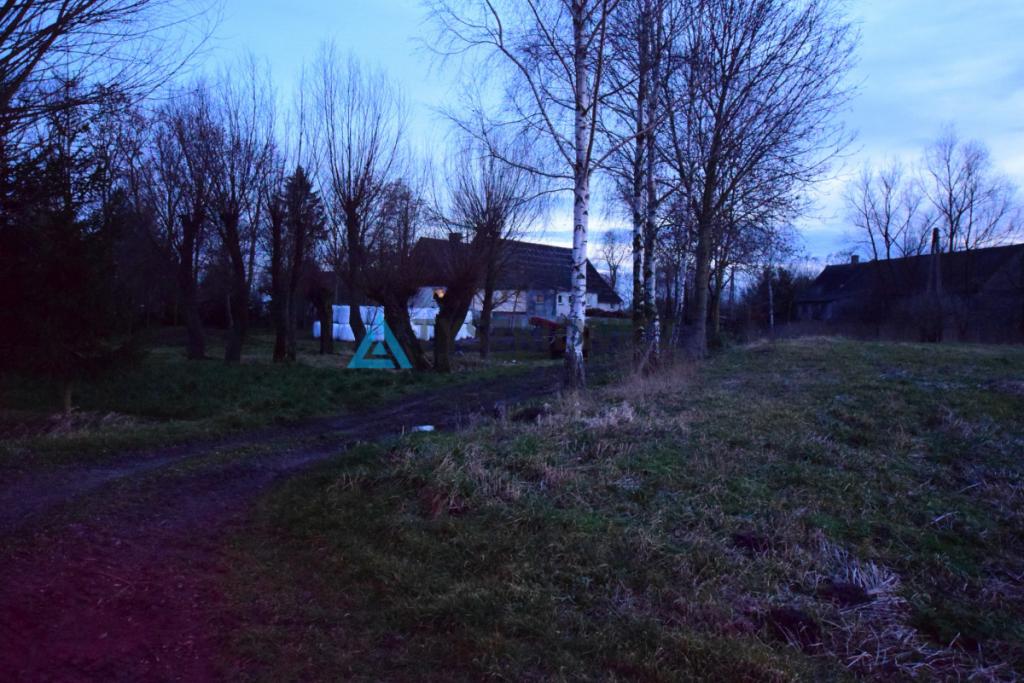 Działka 3200 m2 , 3 kilometry od Nowego Dworu - zdjęcie 28