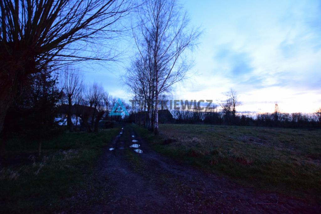 Działka 3200 m2 , 3 kilometry od Nowego Dworu - zdjęcie 24