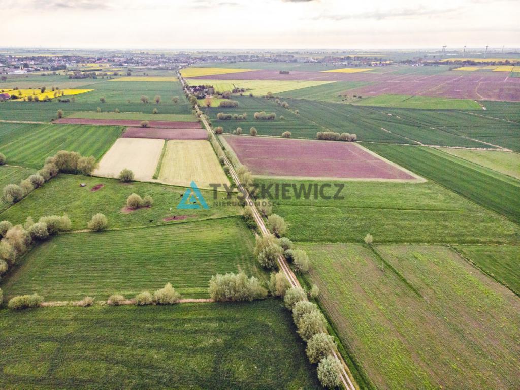 Działka 3200 m2 , 3 kilometry od Nowego Dworu - zdjęcie 7