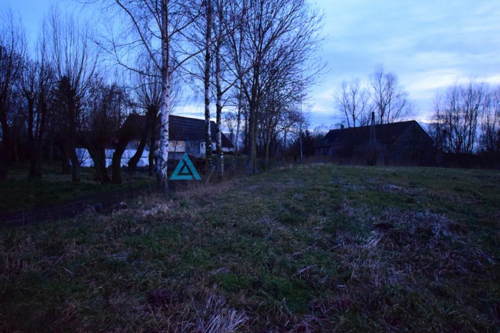 Działka 3200 m2 , 3 kilometry od Nowego Dworu - zdjęcie 26