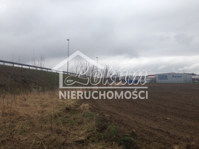 Działka inwestycyjna 1,90&nbsp;ha, Motaniec - zdjęcie 3