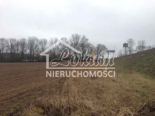 Działka inwestycyjna 1,90&nbsp;ha, Motaniec - zdjęcie 2