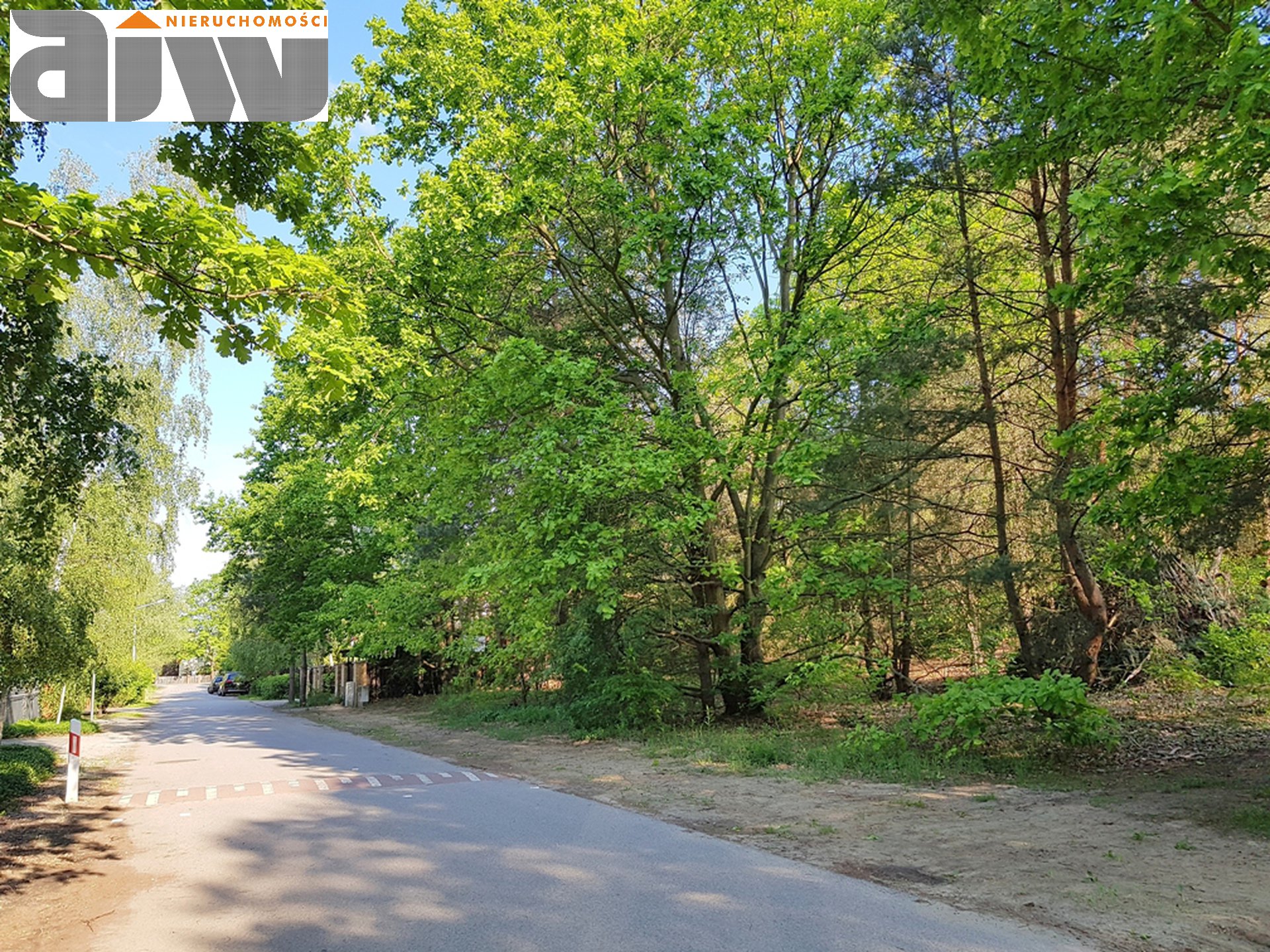 Hornówek działka 1866 m2 - zdjęcie 2