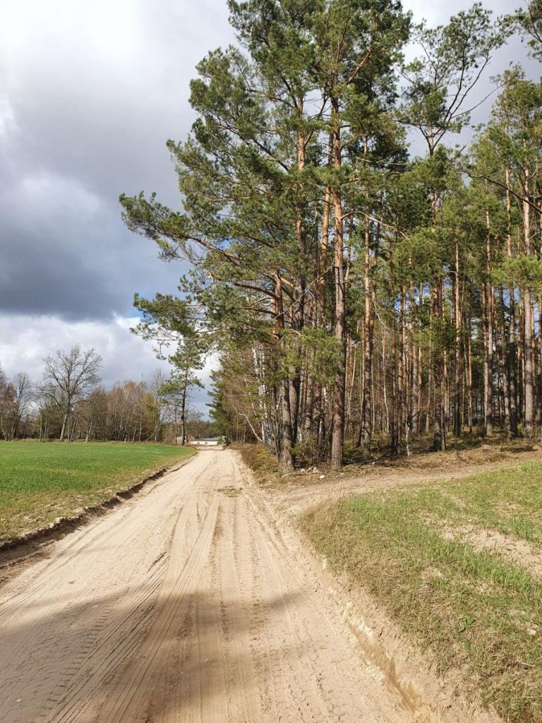 Działka w pięknej i spokojnej okolicy - zdjęcie 10