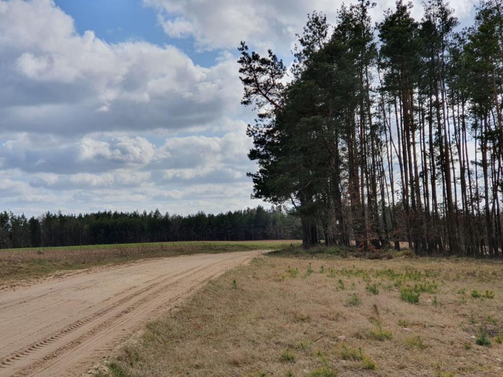 Działka w pięknej i spokojnej okolicy - zdjęcie 4