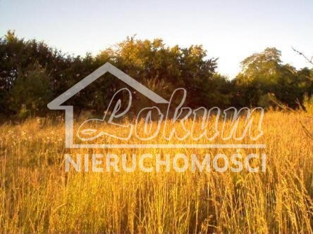 Dom 590&nbsp;m², Bylice - zdjęcie 14