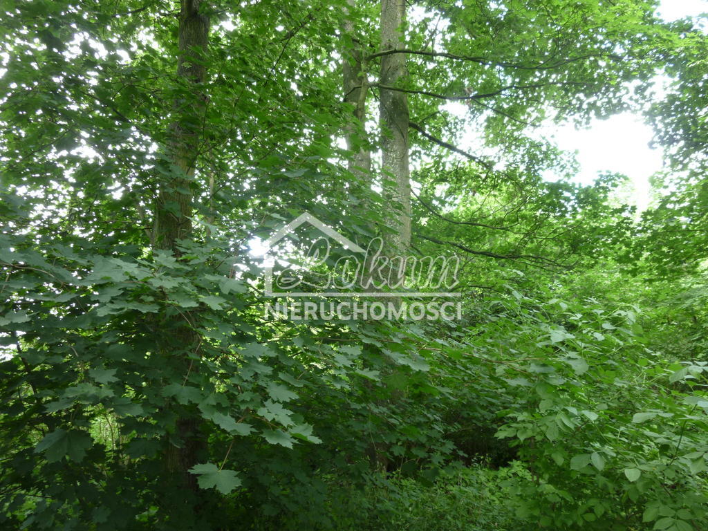 Dom 590&nbsp;m², Bylice - zdjęcie 16