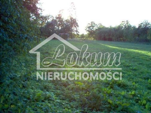 Dom 590&nbsp;m², Bylice - zdjęcie 11