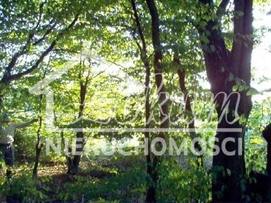 Dom 590&nbsp;m², Bylice - zdjęcie 12