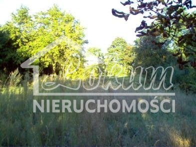 Dom 590&nbsp;m², Bylice - zdjęcie 15