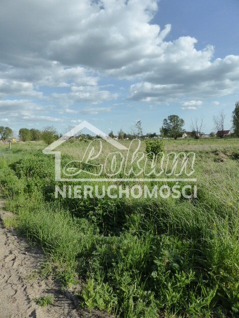 Działka budowlana 3034&nbsp;m², Czarna Łąka - zdjęcie 3