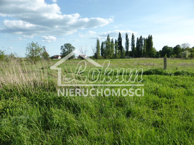 Działka budowlana 3034&nbsp;m², Czarna Łąka - zdjęcie 1