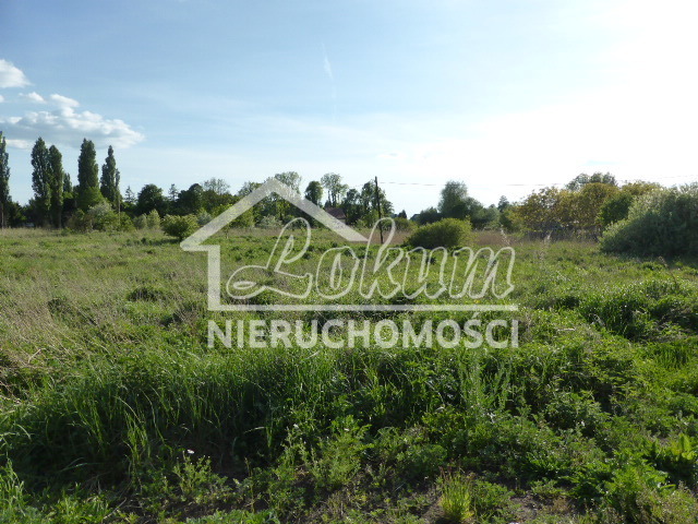 Działka budowlana 3034&nbsp;m², Czarna Łąka - zdjęcie 4