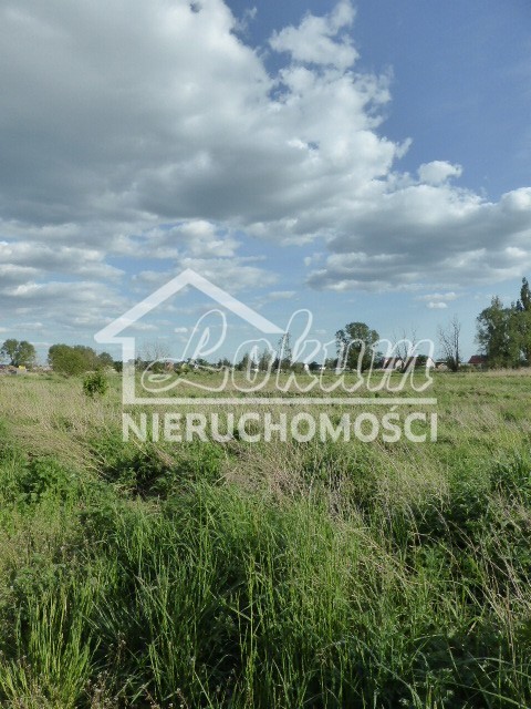 Działka budowlana 3034&nbsp;m², Czarna Łąka - zdjęcie 2