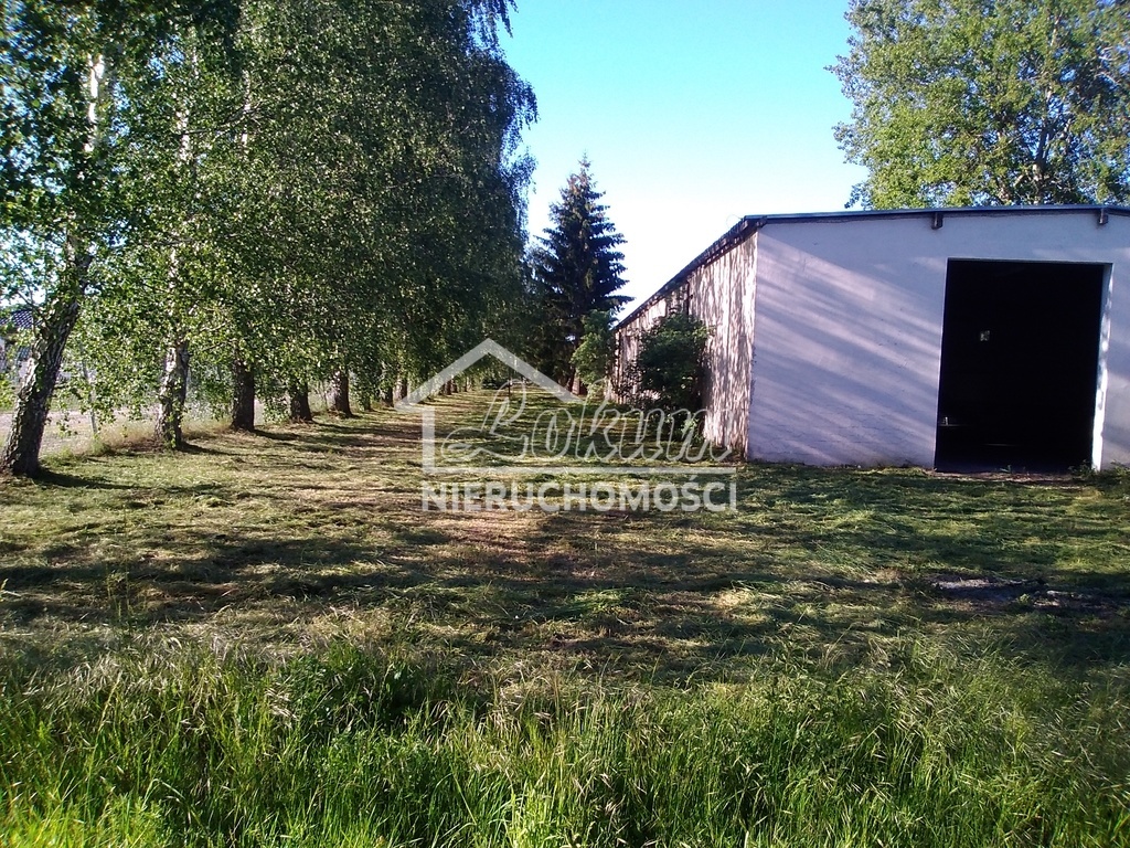 Lokal usługowy na sprzedaż, 1300&nbsp;m², Niedźwiedź - zdjęcie 10