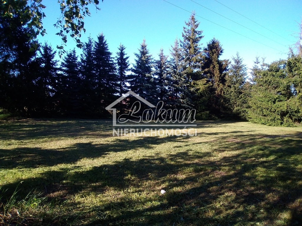 Lokal usługowy na sprzedaż, 1300&nbsp;m², Niedźwiedź - zdjęcie 14