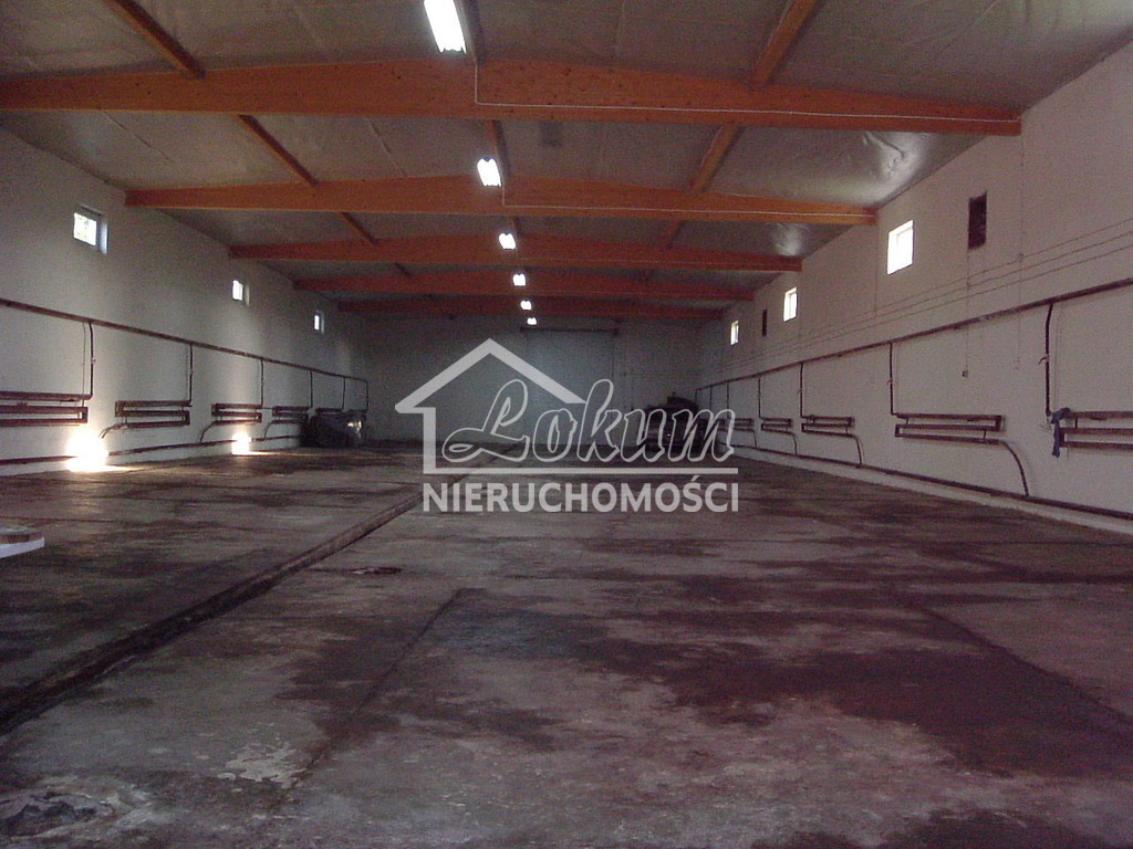 Lokal usługowy na sprzedaż, 1300&nbsp;m², Niedźwiedź - zdjęcie 5