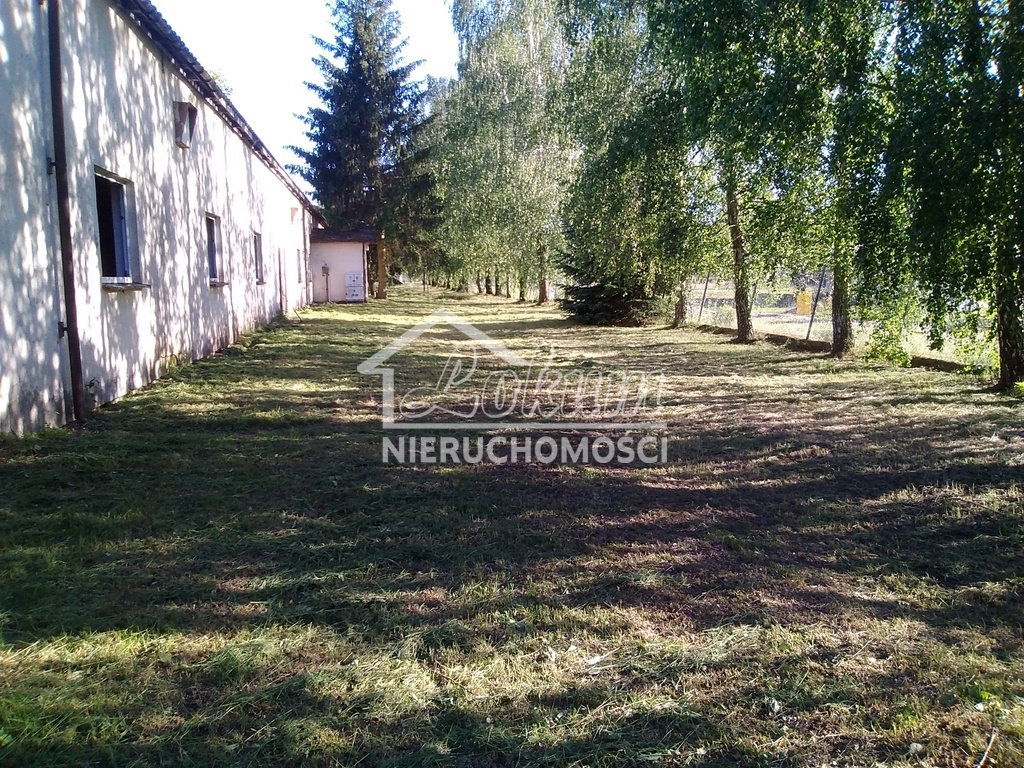 Lokal usługowy na sprzedaż, 1300&nbsp;m², Niedźwiedź - zdjęcie 11