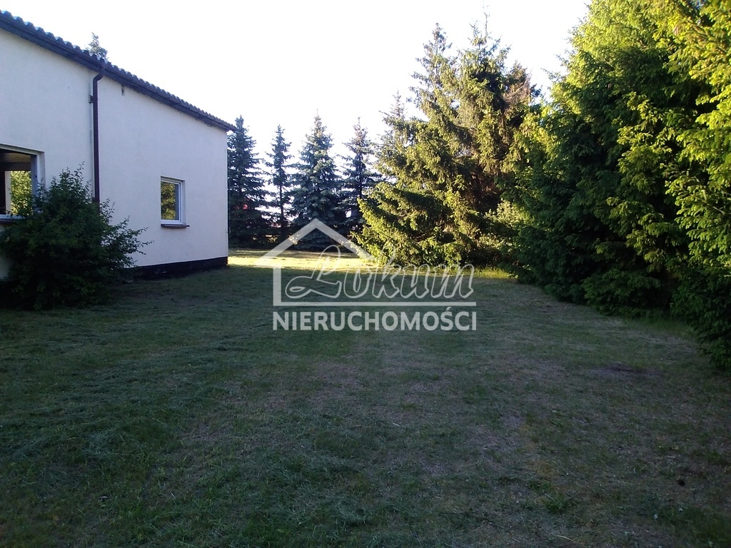 Lokal usługowy na sprzedaż, 1300&nbsp;m², Niedźwiedź - zdjęcie 8