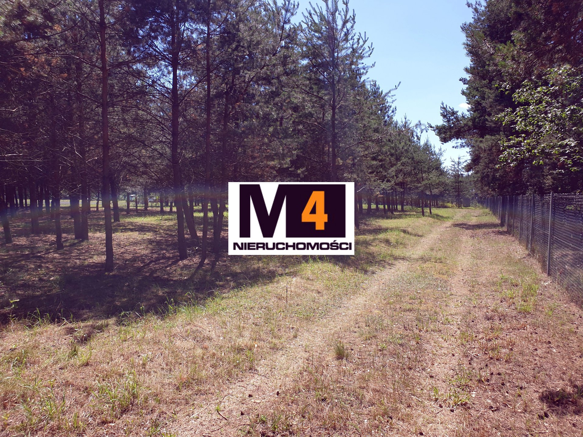 Działka budowlana, rekreacyjna Królikowice, urokliwe miejsce, cisza, las ! - zdjęcie 4