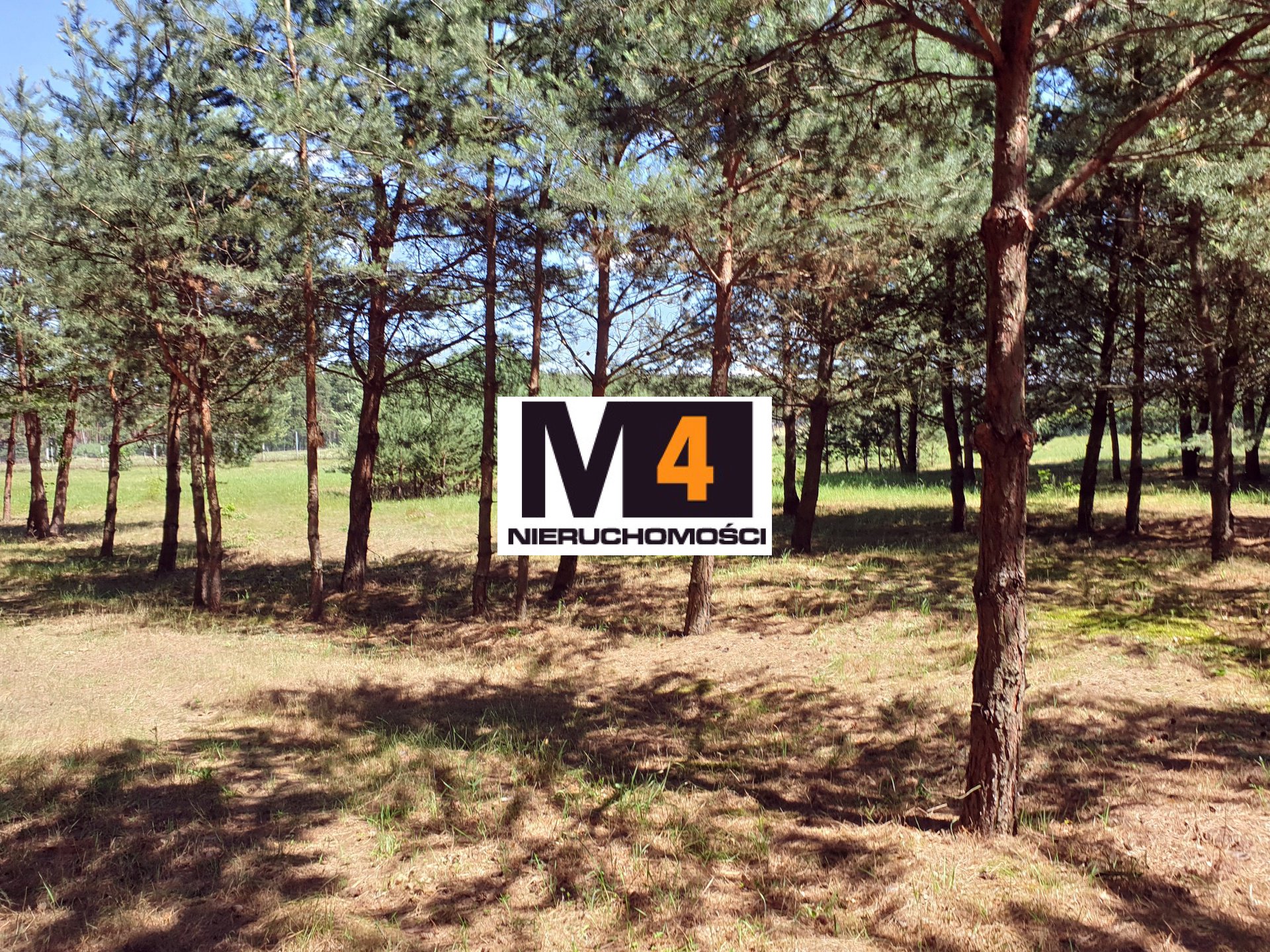 Działka budowlana, rekreacyjna Królikowice, urokliwe miejsce, cisza, las ! - zdjęcie 8