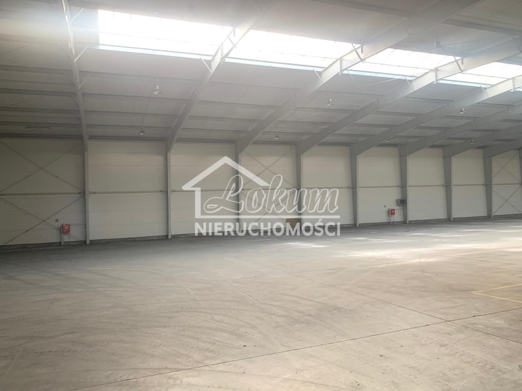 Magazyn na sprzedaż, 7800&nbsp;m², Stargard - zdjęcie 3