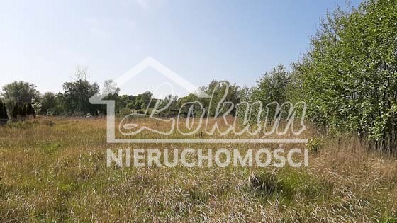 Działka budowlana 2205&nbsp;m², Mrzeżyno - zdjęcie 19