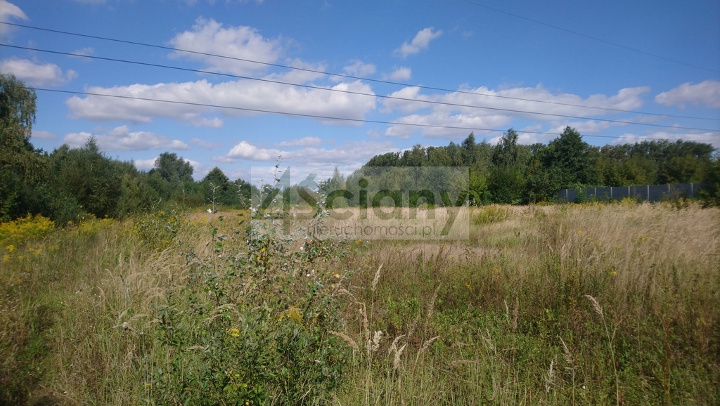 Działka inwestycyjna 1,19&nbsp;ha, Brwinów - zdjęcie 2
