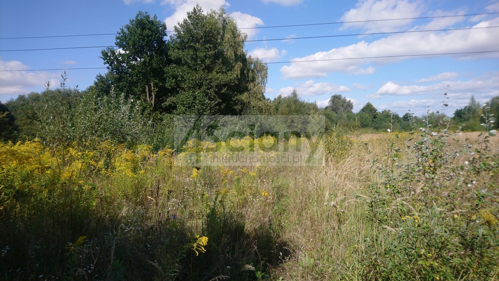 Działka inwestycyjna 1,19&nbsp;ha, Brwinów - zdjęcie 3