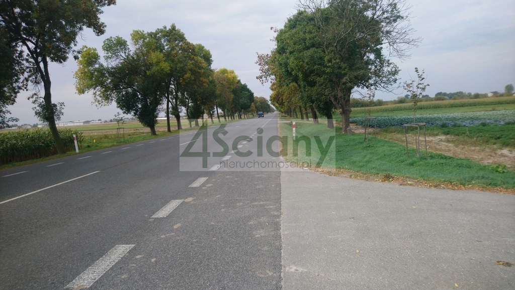 Działka inwestycyjna 2,80&nbsp;ha, Płochocin - zdjęcie 2