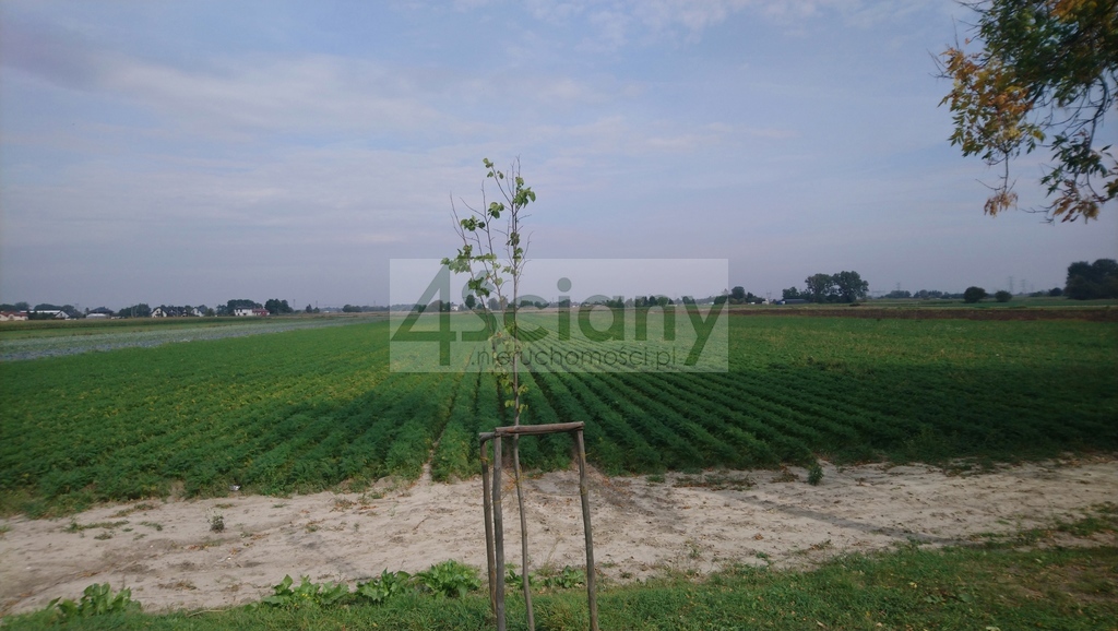Działka inwestycyjna 2,80&nbsp;ha, Płochocin - zdjęcie 1