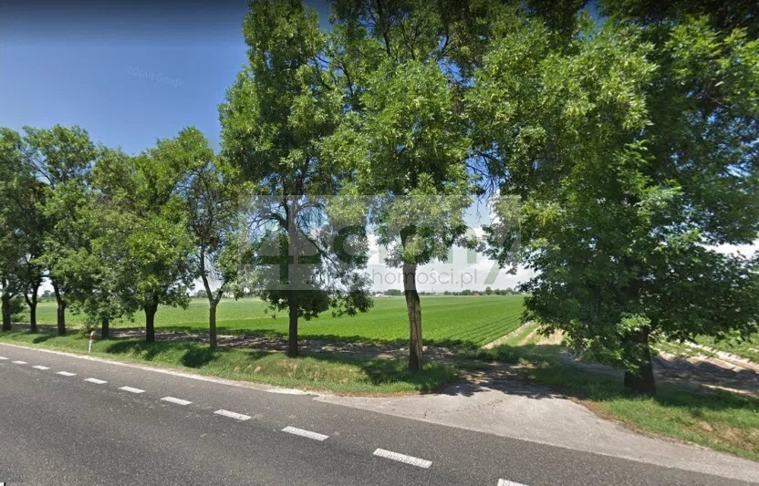 Działka inwestycyjna 2,80&nbsp;ha, Płochocin - zdjęcie 3