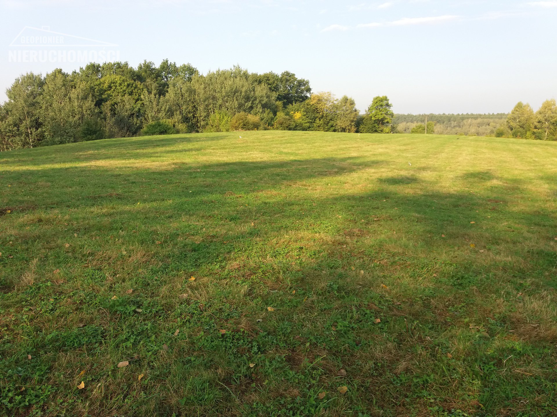 MAZURY - OSTRÓDA - Szafranki,  niezabudowana działka gruntu, do jeziora ok. 300m - zdjęcie 6