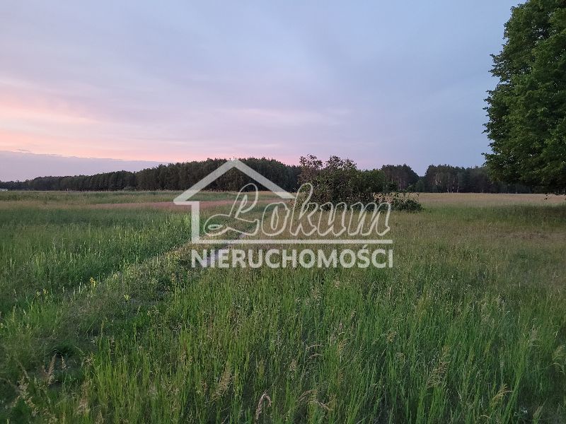 Działka rolna 3293 m², Lubczyna - zdjęcie 1