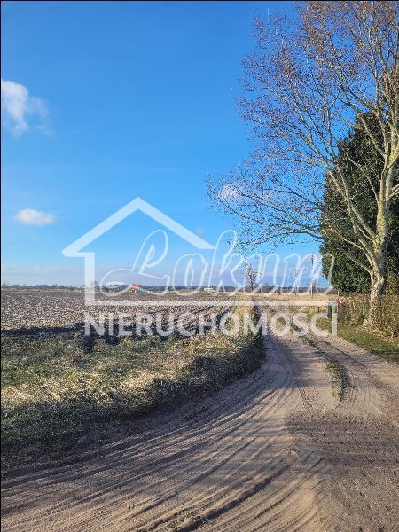 Działka rolna 3293 m², Lubczyna - zdjęcie 5