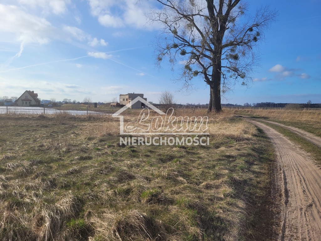 Działka rolna 3001 m², Lubczyna - zdjęcie 6
