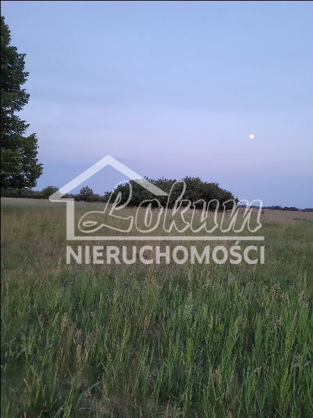 Działka rolna 3001 m², Lubczyna - zdjęcie 1