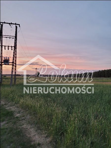 Działka rolna 3292&nbsp;m², Lubczyna - zdjęcie 1