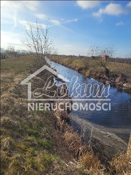Działka rolna 3001&nbsp;m², Lubczyna - zdjęcie 7