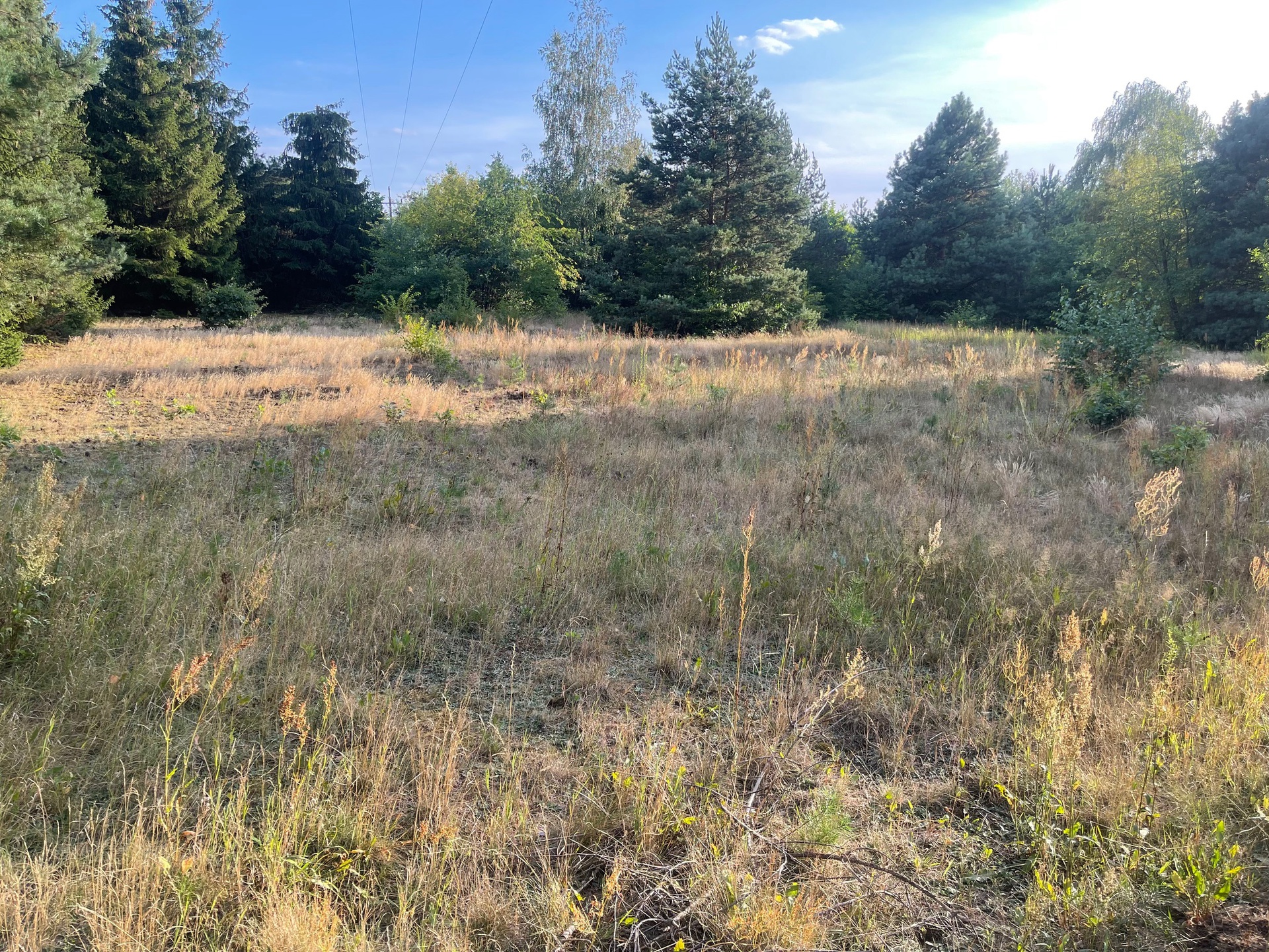 Do sprzedaży działka budowlana 3000 m2 - Stefanowo- gmina Lesznowola-28km od centrum Warszawy - zdjęcie 6