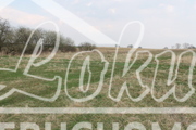 Działka rolna 3000 m², Barnisław - zdjęcie 2