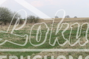 Działka rolna 3000 m², Barnisław - zdjęcie 4