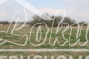 Działka rolna 3000 m², Barnisław - zdjęcie 7