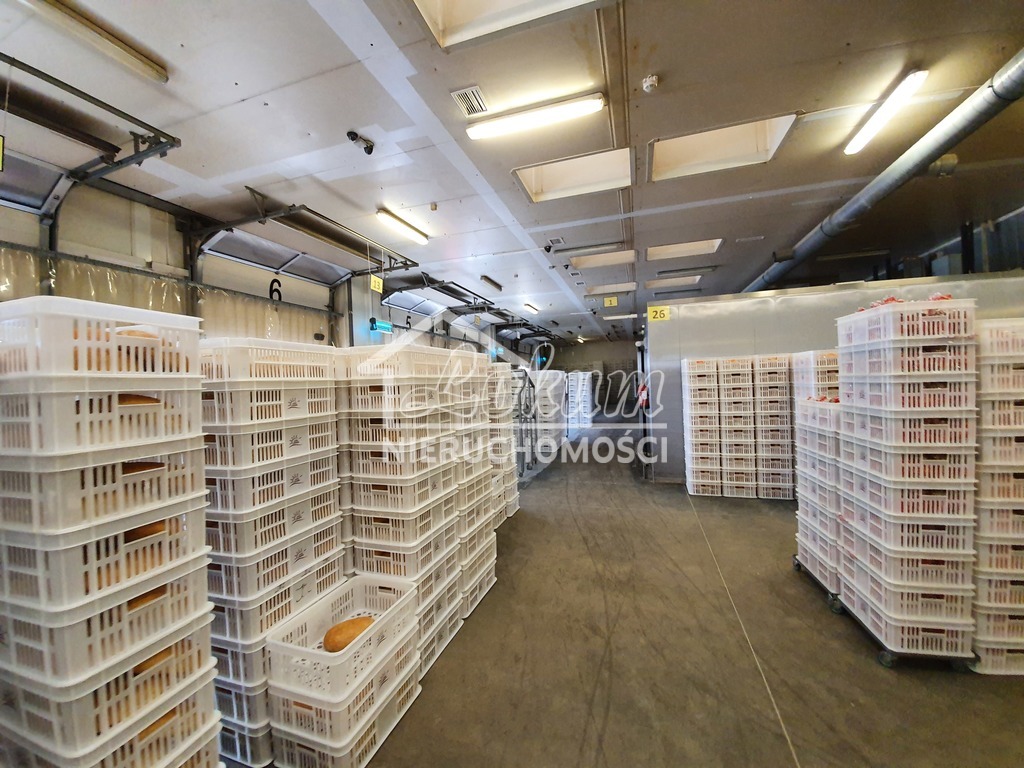 Magazyn na sprzedaż, 3500&nbsp;m², Kliniska Wielkie, Piastowska - zdjęcie 8