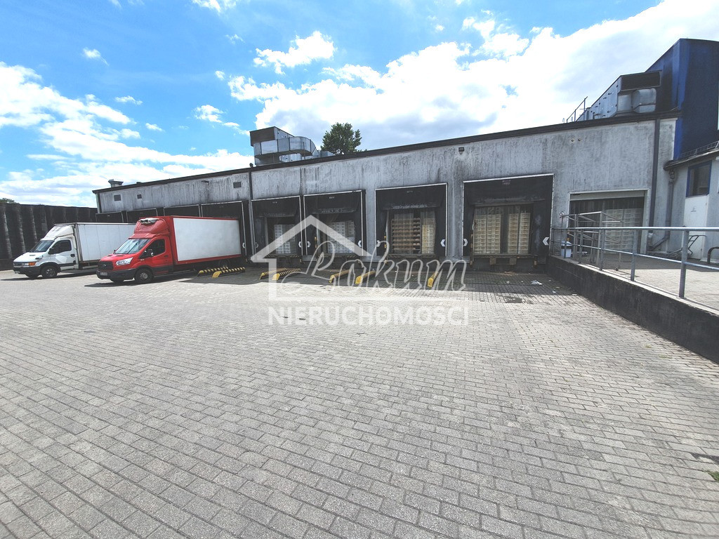Magazyn na sprzedaż, 3500 m², Kliniska Wielkie, Piastowska - zdjęcie 3