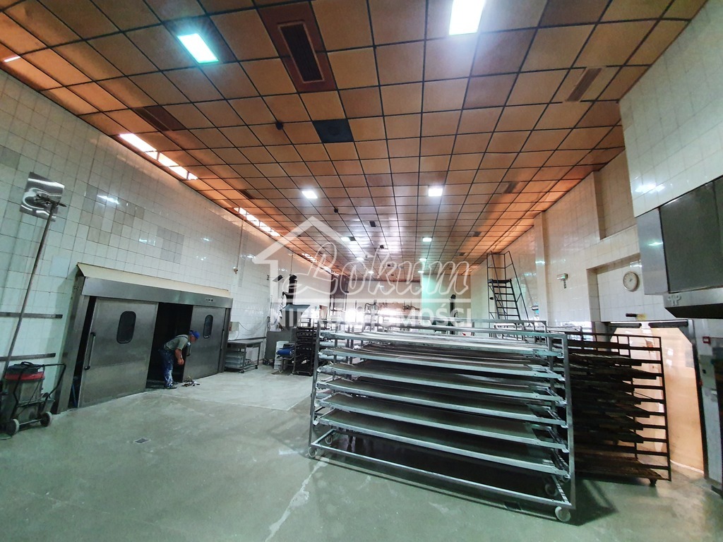 Magazyn na sprzedaż, 3500 m², Kliniska Wielkie, Piastowska - zdjęcie 11