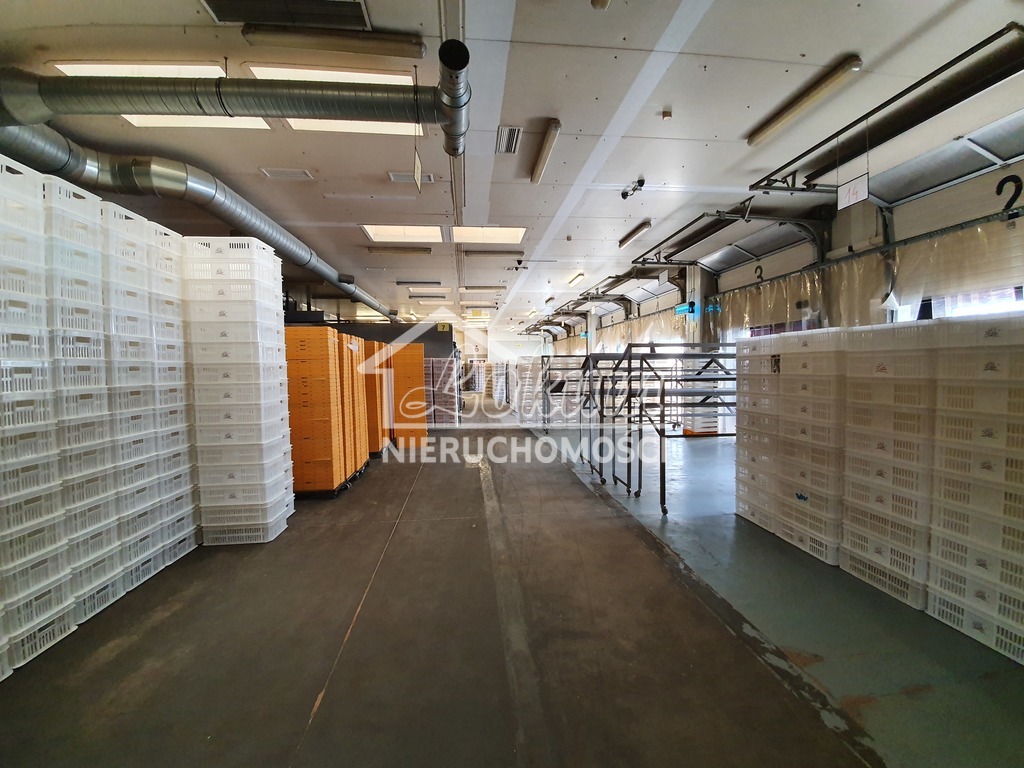 Magazyn na sprzedaż, 3500 m², Kliniska Wielkie, Piastowska - zdjęcie 12